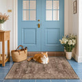 Boho Taupe Brown 3x5 Large Entryway Rug (3' x 5' (Rectangular) / Brown)