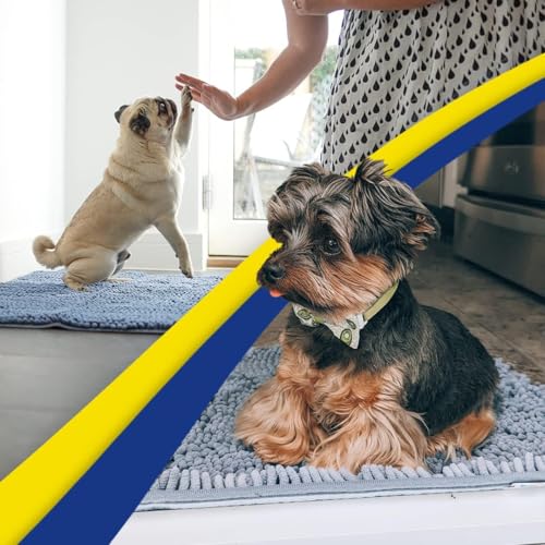 Super Water Absorbent Door Mat Indoor (Baby Blue / 16" x 24")
