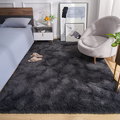 Premium Soft Area Rug 4x5.3 Feet (4' x 5'3" (Rectangular) / Dark Grey)
