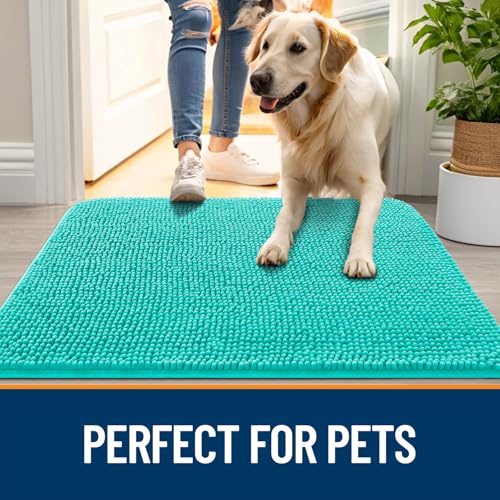Dog Door Mat for Muddy Paws 32x20 (Teal / 32" X 20")