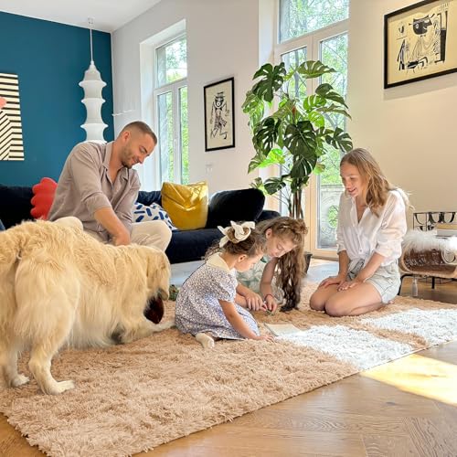 8x11 Machine Washable Large Area Rugs for Living Room (8x11 Ft / Beige)