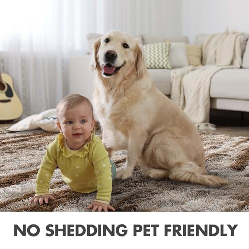 Area Rugs for Living Room (Bc Khaki 4sm02 / 6' X 9' (Rectangular))