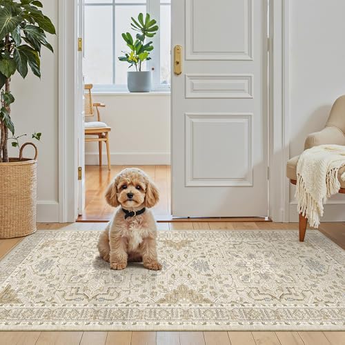 Washable Area Rug 2x4 (Beige/Blue / 2' x 4' (Rectangular))