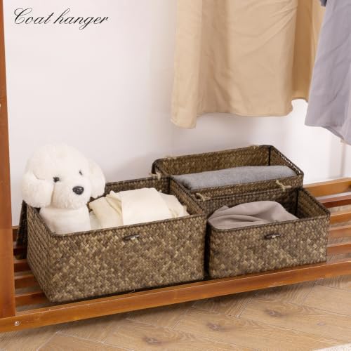 Wicker Storage Basket with Lid (Coffee* Set of 3)