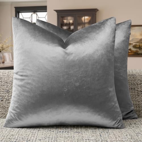 Dark Grey Velvet Throw Pillow Covers 24x24 Pack of 2 (Dark Grey / 24" x 24" (Pack of 2))