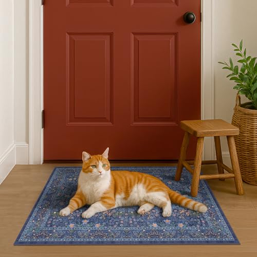 Navy Blue Washable 2x3 Entry Rug (Dark Blue / 2' x 3' (Rectangular))