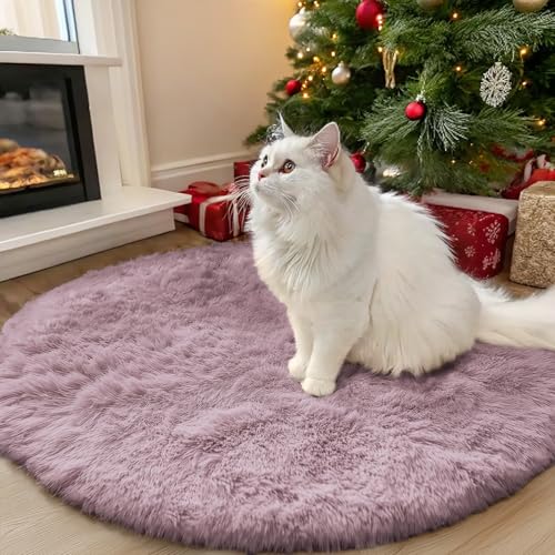 Blush Round Rugs for Bedroom (3 Ft Round / Blush)
