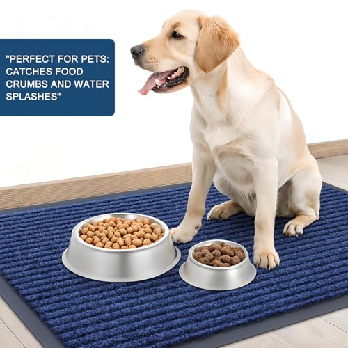 Front Door Mat 47x30 (Blue / 47" X 30")