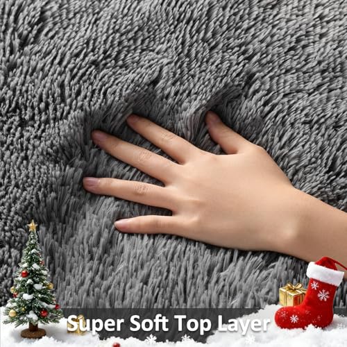 Area Rugs for Living Room Bedroom (1- Grey / 4' x 6' (Rectangular))