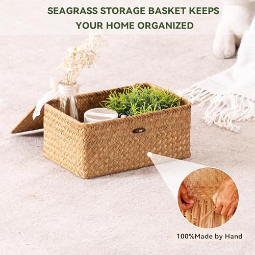 Small Wicker Basket with Lid (S-Natural)