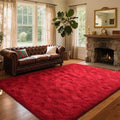 5x7 Ft Red Shag Rugs for Bedroom Living Room Decor (CD Red / 5' X 7' (Rectangular))