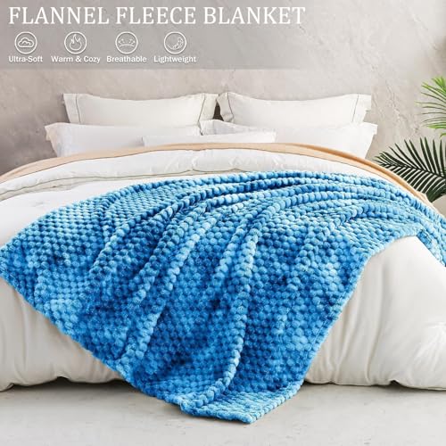 Soft Cozy Plush Sofa Throws for All Seasons