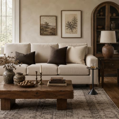 Brown Velvet Pillow Covers 18x18 Decorative Pillows Pack of 2 (Brown / 18" x 18" (Pack of 2))