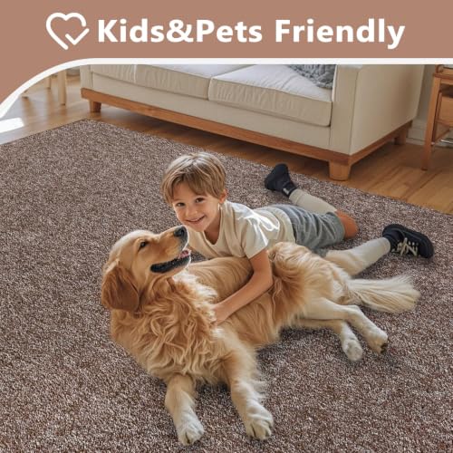4x6 Brown White Area Rug Non (08 Brown/White / 4' x 6' (Rectangular))