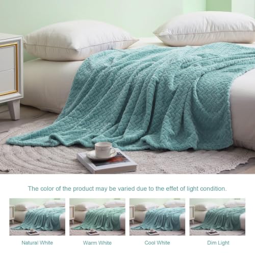 Soft Fleece Bed Blanket Twin Size (Celadon / Twin ( 60x80 IN ))