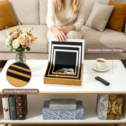 Decorative Book Boxes Set of 3 (Home)