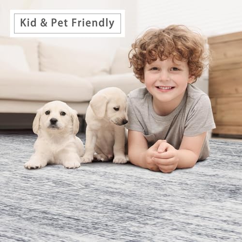 5x7 Washable Area Rugs for Living Room (5' x 7' (Rectangular) / Grey-cream)