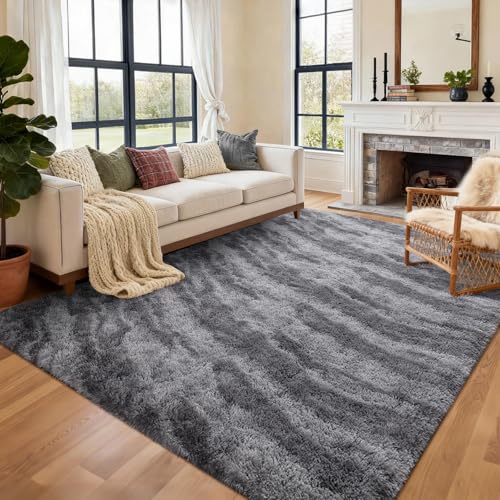 Area Rugs for Living Room (Eb Grey 4sm03 / 6' X 9' (Rectangular))