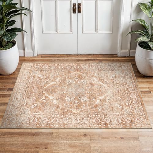 2x3 Washable Area Rug for Entryway (Brick / 2x3)