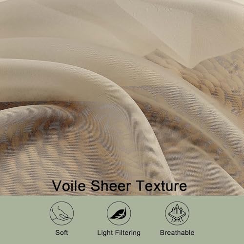 Taupe Sheer Curtains 63 Inch Long 2 Panels for Living Room 59" Wide (Taupe / 59"W x 63"L (Pack of 2))