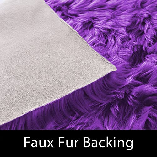 Bedroom Shag 4x6 Rug Purple Shaggy Fluffy Faux Fur Rug Machine Washable Area Rugs for Living Room Office Dorm Plush Rugs Home Decor Rectangle (4' x 6' (Rectangular) / Purple)