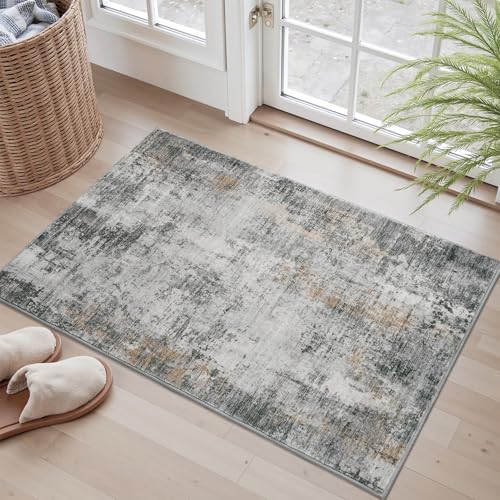2 x 3 Small Area Rug Indoor Entryway Rug Machine Washable Non Slip Low Pile Carpet Modern Abstract Rugs for Bedroom Kitchen Powder Room Front Porch Bathroom (Grey / 2' x 3')