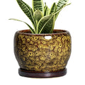6 Inch Plant Pot (6 Inch / Leopard Yellow)