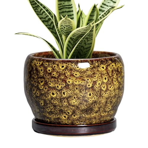 6 Inch Plant Pot (6 Inch / Leopard Yellow)