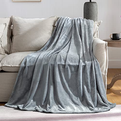 Grey Fleece Plush Throw Blanket 50"x60"for Couch Sofa Fuzzy Cozy Flannel (Grey / Throw(50"×60"))