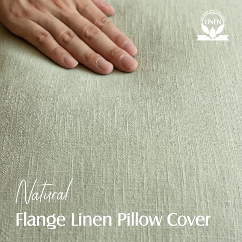 Linen Solid Decorative Throw Pillow Cover 16x16 Inch Light Green (16" x 16" (Pack of 2) / Seeding Green)