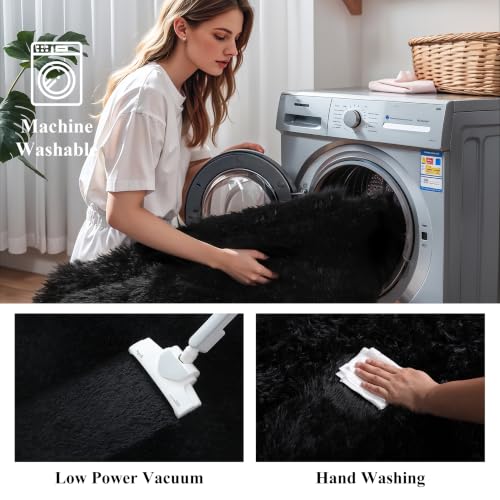 Black Fluffy Shag Rug (Black / 2' x 3' (Rectangular))