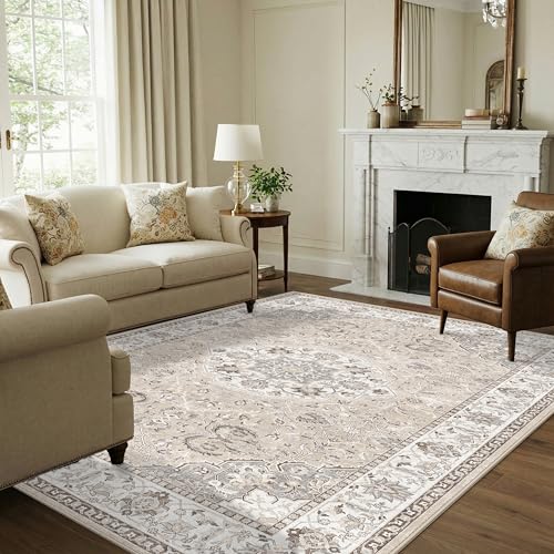 7x10 Area Rug for Living Room (7' x 10' (Rectangular) / Beige)