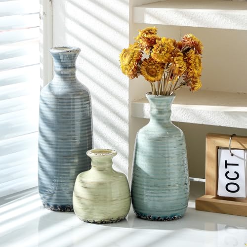 Ceramic Vase Set of 3 (011 - Multicolor)