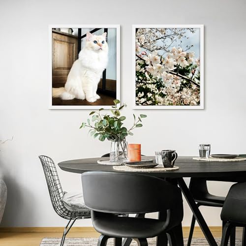 20x24 Picture Frame (White / 20x24)