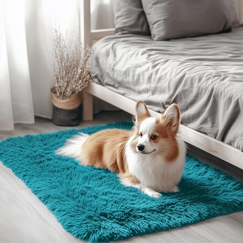 2x3 Machine Washable Small Bedside Rug (2x3 Ft / Teal)