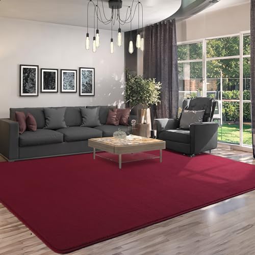 6x9 Area Rugs for Living Room Non Slip Dorm Bedroom Rug (6' x 9' (Rectangular) / Wine Red)