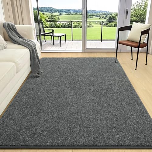 6x9 Area Rugs for Living Room Non Slip Bedroom Rug (6' x 9' (Rectangular) / Black and White)