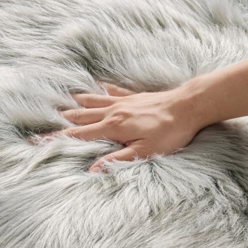 Fluffy Area Rug 2x3 ft Faux Fur Sheepskin Rug for Bedroom Light Grey (2' x 3' (Sheepskin) / Light Grey)