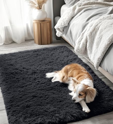3x5 Machine Washable Small Bedside Rug (3x5 Ft / Black)