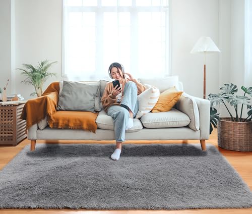 Grey Area Rugs for Bedroom Living Room (Grey / 4' x 6' (Rectangular))