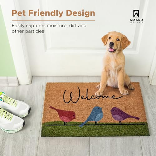 Coir Welcome Mat (Colorful Birds / 24x36)