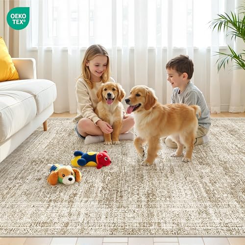 5x7 Area Rugs for Living Room (Brown/Ivory / 5' x 7' (Rectangular))