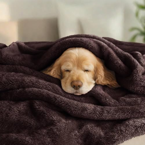 Fuzzy Plush Fleece Bed Blanket Queen Size (Coffee / 90x90 IN)