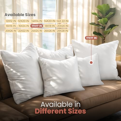 17x17 Pillow Inserts (White / 17x17 Inch)
