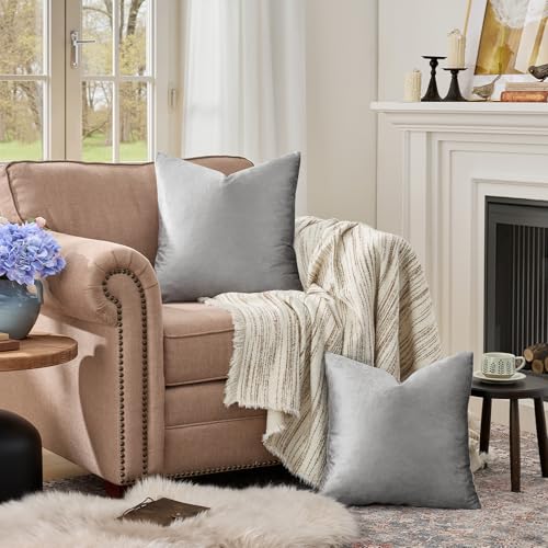 Dark Grey Velvet Throw Pillow Covers 24x24 Pack of 2 (Dark Grey / 24" x 24" (Pack of 2))