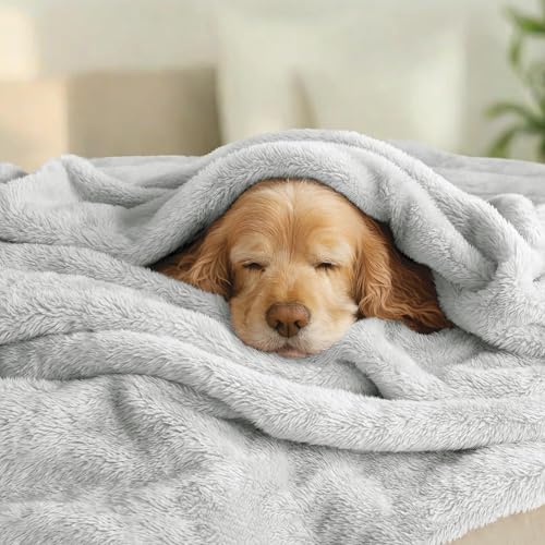 Fuzzy Plush Fleece Bed Blanket King Size (Light Grey / 104x90 IN)