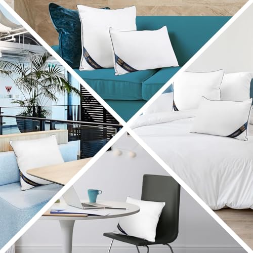 16x16 Throw Pillow Inserts (16x16 Inch)