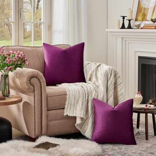 Velvet Pillow Covers 16x16 Decorative Pillows Pack of 2 Purple (Purple / 16" x 16" (Pack of 2))