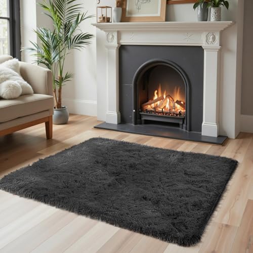 Small Shag Area Rug for Bedroom (Black / 2' x 3' (Rectangular))
