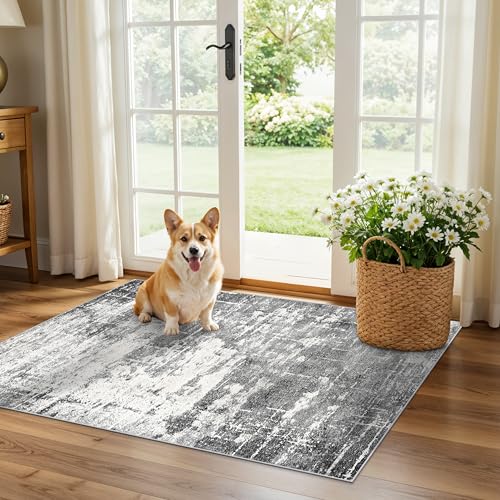 Washable 2x3 Entryway Area Rugs (2' x 3' (Rectangular) / Black/Grey)